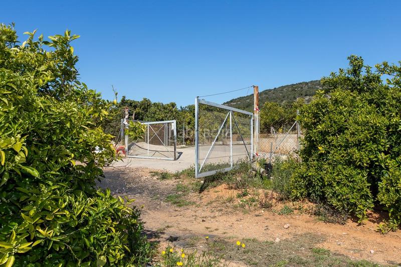 Foto cb2a99f5-c0d9-4116-b0eb-aac2fae88c9b. Propriété dans Alcanar