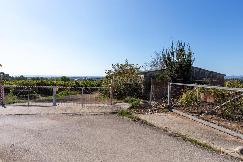 Foto ce77a547-7888-4141-a518-73489b9a372b. Propriété dans Alcanar