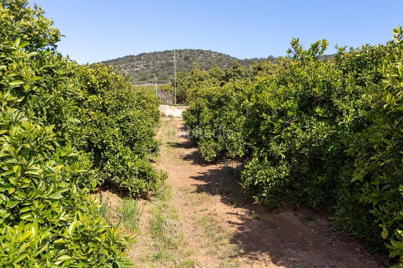 Foto ceac32a3-4491-4b45-b306-a902950cd0a8. Propriété dans Alcanar