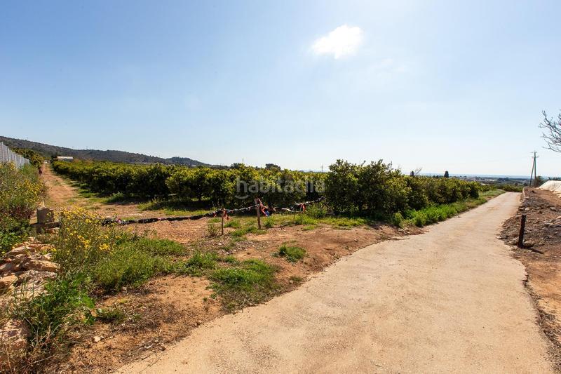 Foto e007df97-3257-45bb-9947-d314f60daadf. Propriété dans Alcanar