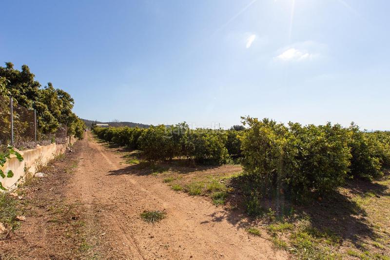 Foto eab1667c-2ca6-46fb-bfab-bb5458301217. Propriété dans Alcanar