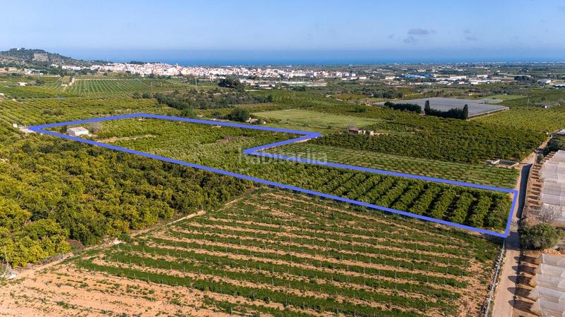 Foto f54b400b-134f-43d6-ba74-5ac86c96f36c. Propriété dans Alcanar