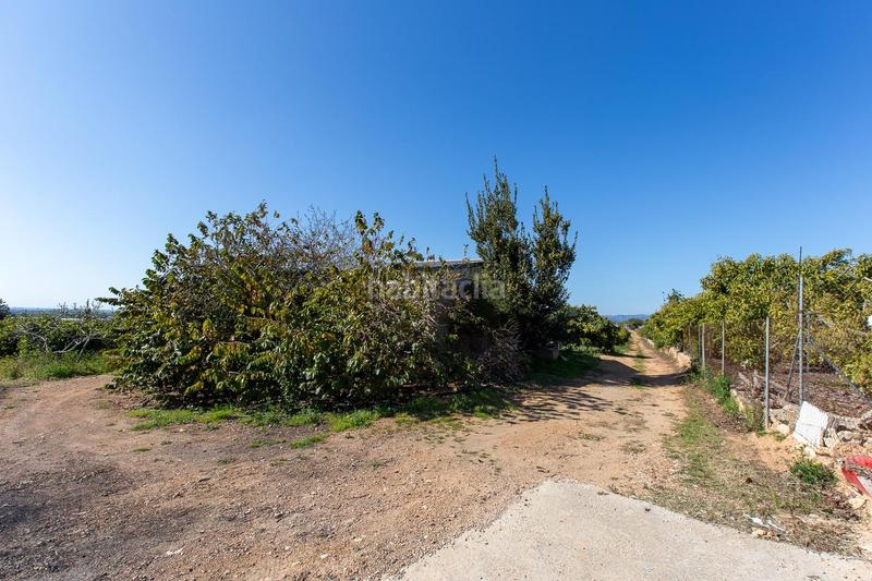 Foto fee219b7-4763-485a-9b70-84ab5abd1f16. Propriété dans Alcanar