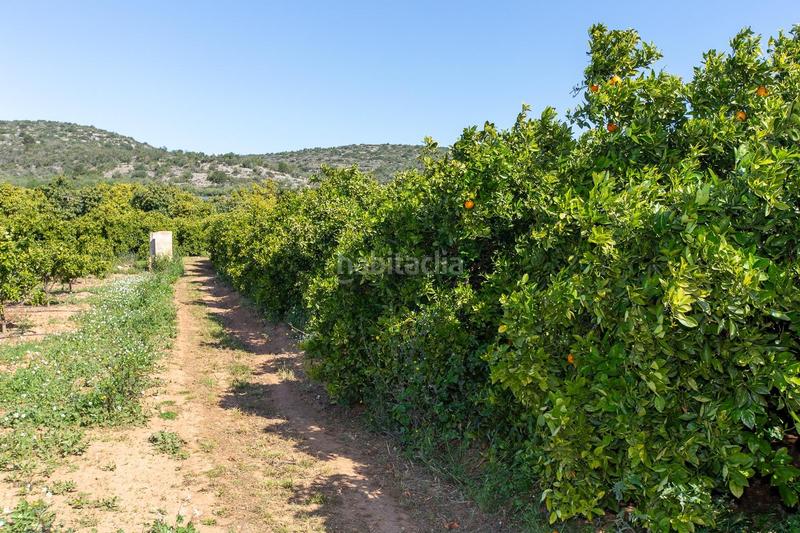 Foto ff7cb058-8583-4d42-873c-aaaba8487c67. Propriété dans Alcanar