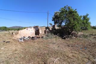 Finca rústica a Alcanar. Prat en camí virol