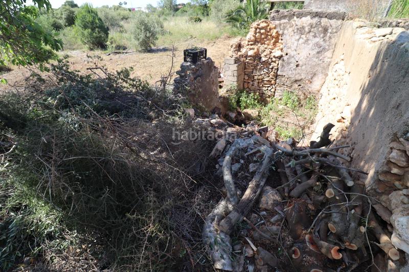 Foto 979af54f-4cf2-4e3f-b8e0-1896284cf64c. Fondo rustico in Alcanar