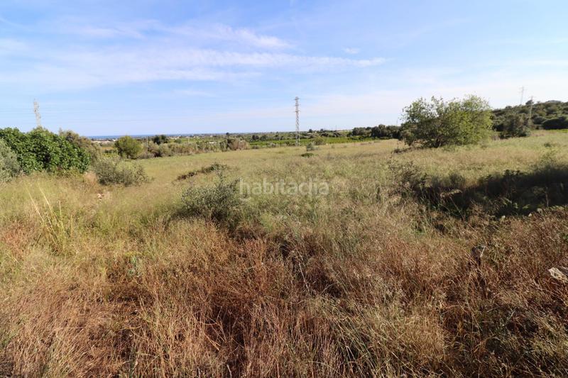 Foto 100c8f20-9f9b-415d-86db-d3d383d24743. Fondo rustico in Alcanar