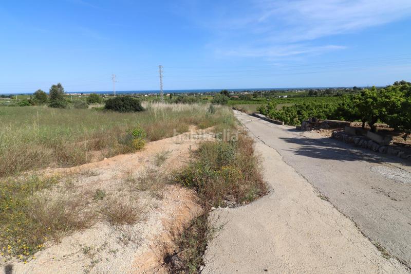 Foto 205b7762-dabe-44f4-8b80-589ebe398823. Fondo rustico in Alcanar