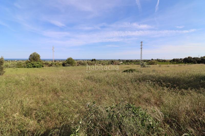 Foto 29b0e929-073b-4f1a-89d0-bf24819f179a. Fondo rustico in Alcanar