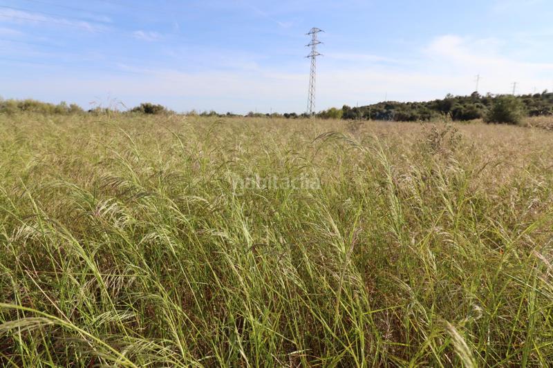 Foto 3de54d9a-3967-4888-b80d-d1ab9c8726c6. Fondo rustico in Alcanar