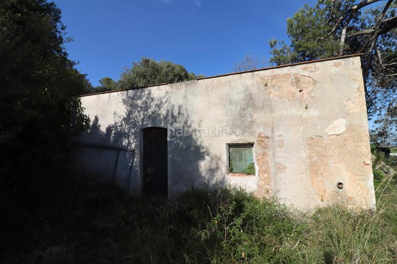 Foto 3df912e6-dd29-4aa0-8289-938b4b3cddf9. Fondo rustico in Alcanar