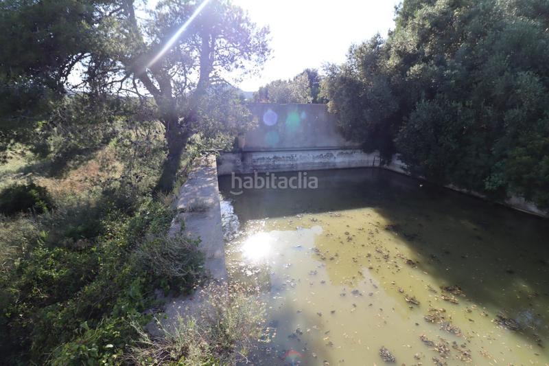 Foto 4636965b-e76c-41da-bec5-6fbc94957fd0. Fondo rustico in Alcanar