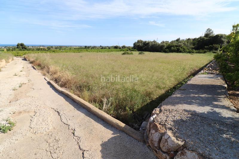 Foto 76fa767c-8b47-489d-a192-2319bd341b67. Fondo rustico in Alcanar