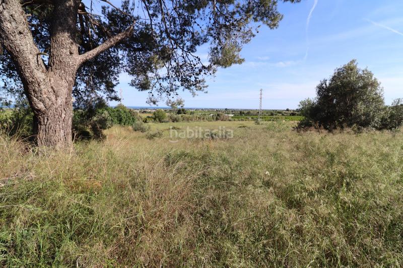 Foto 7a3da521-aee7-4cf4-afc6-f7db5338246c. Fondo rustico in Alcanar