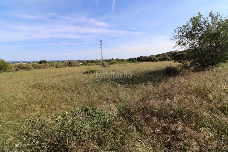 Foto 8120201f-fbff-423d-b080-01bdde1bab10. Fondo rustico in Alcanar