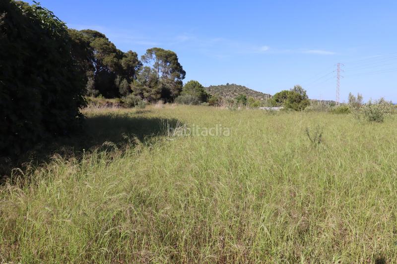 Foto 882b33c2-56d9-464b-87f8-2cecd266b479. Fondo rustico in Alcanar