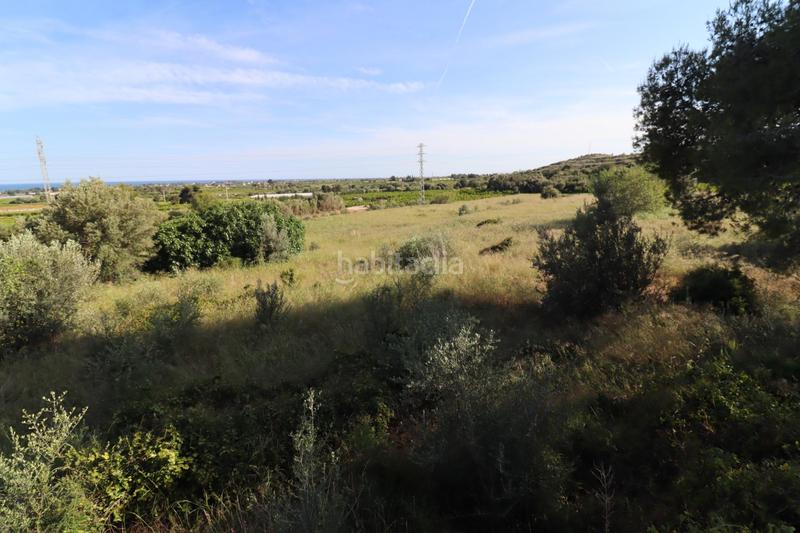 Foto 8a29f4ad-b06f-424a-b555-03e586e07434. Fondo rustico in Alcanar