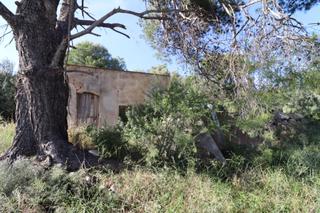 Finca rústica a Alcanar. Finca con casa para rehabilitar en les calafes