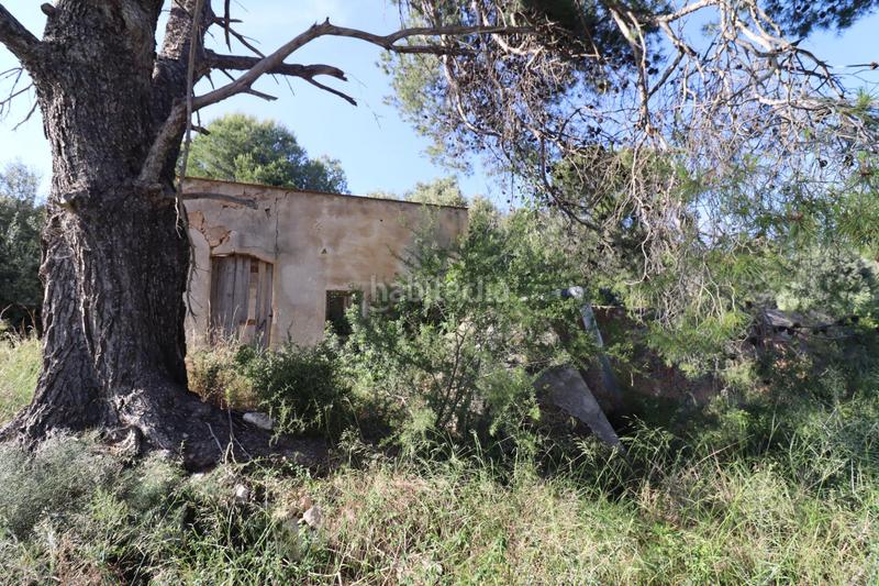 Foto 8efdfbf1-c3e8-4782-8d39-ca8fecbef03a. Fondo rustico in Alcanar