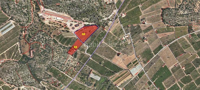 Foto b0a926bc-5f2e-4536-b166-2972f13c2c98. Fondo rustico in Alcanar