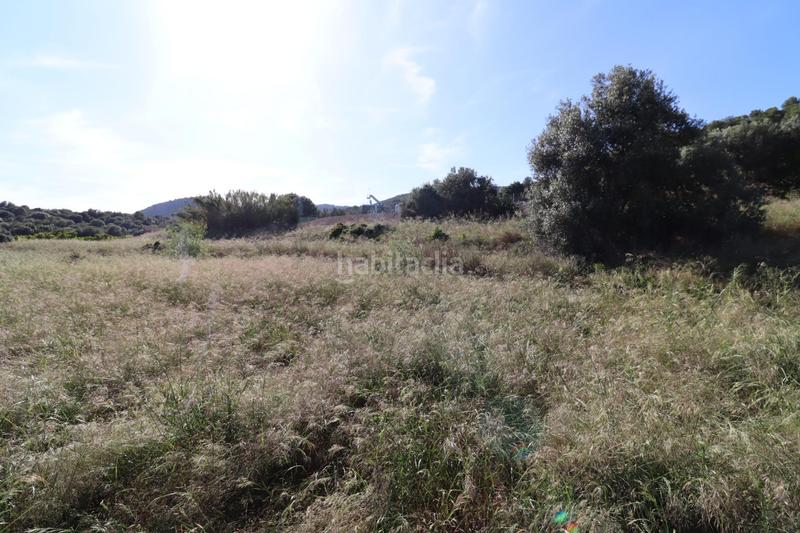 Foto c5ee7706-4800-4fe6-9d86-4ea0716ba004. Fondo rustico in Alcanar