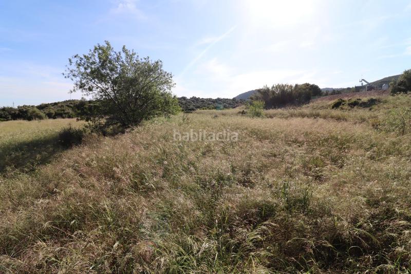 Foto d5440a1e-d2b7-4803-8fa4-7a0d7177af3e. Fondo rustico in Alcanar