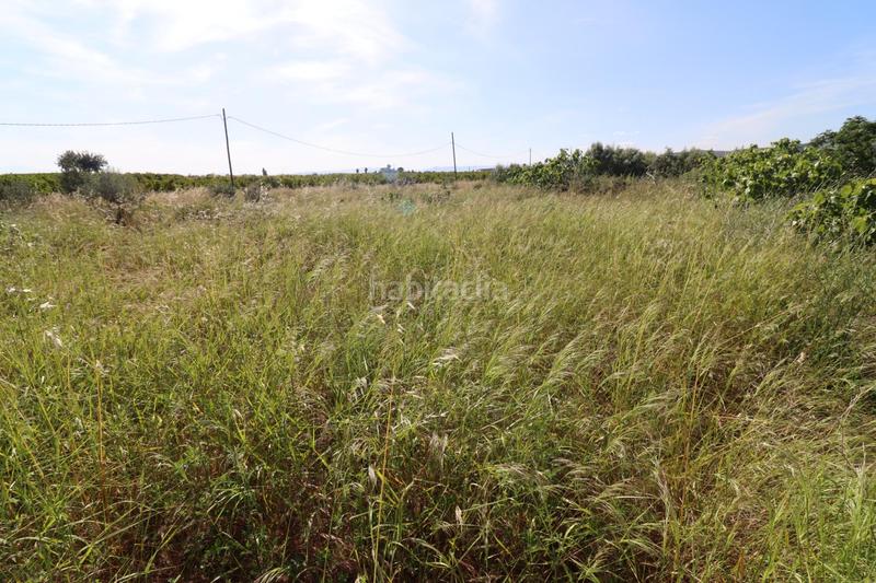 Foto 01f5d6f4-2a94-4800-a5db-2b8cd682c8d9. Fondo rustico in Alcanar