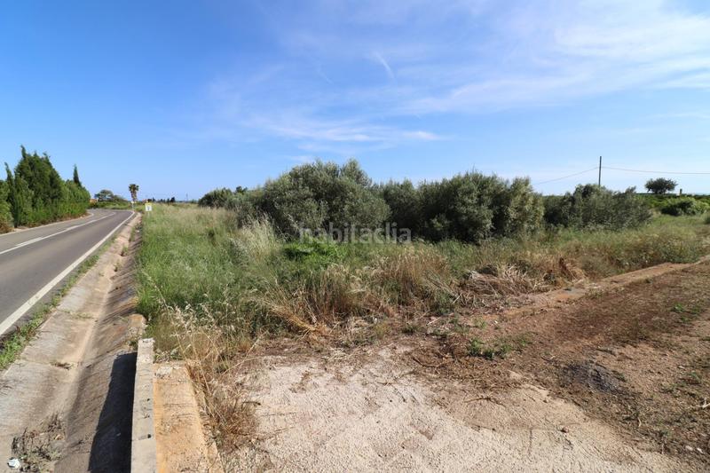 Foto 0601273e-484f-4f62-bab9-7c5cb4ee40c5. Fondo rustico in Alcanar