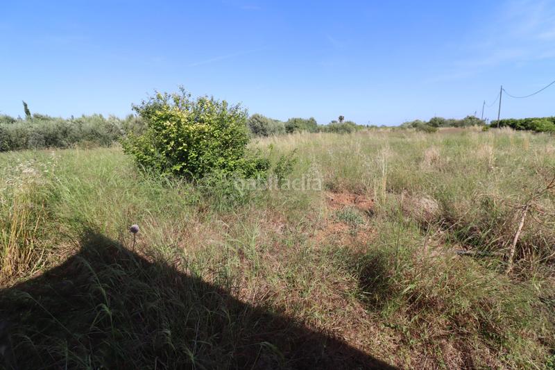 Foto 11b02356-63f9-4d28-b984-16bb864ec408. Fondo rustico in Alcanar