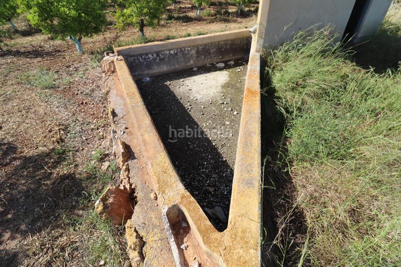 Foto 1f538e32-d4c1-4b88-9bb6-b415c6747921. Fondo rustico in Alcanar