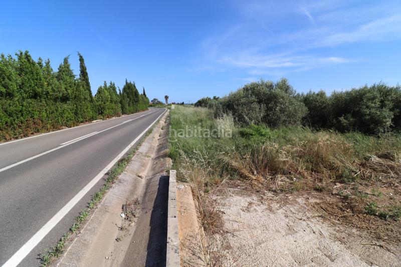 Foto 314b3c5a-1f27-4168-ac38-1ea3c49d4d07. Fondo rustico in Alcanar