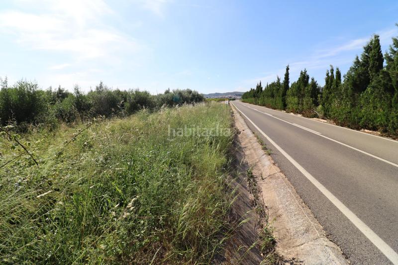 Foto 39c29201-07d0-4270-a878-6884524d3f7e. Fondo rustico in Alcanar