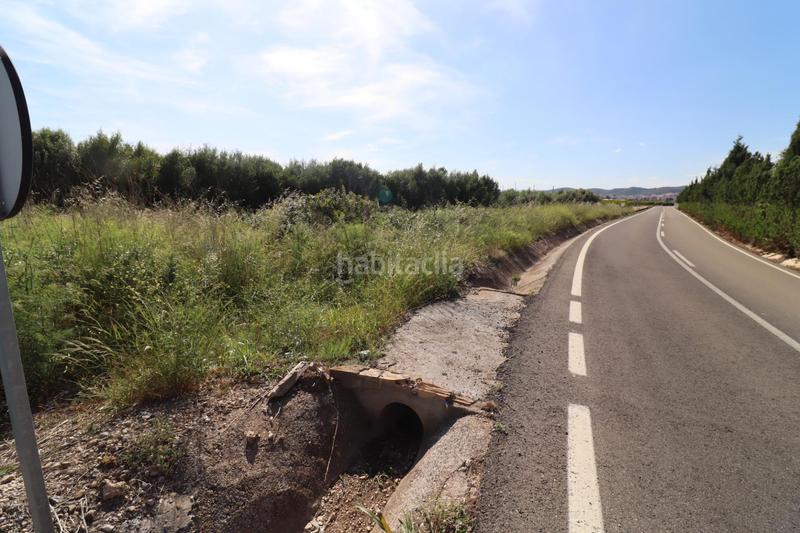 Foto 43395000-aa20-4021-a109-655e5bb38386. Fondo rustico in Alcanar