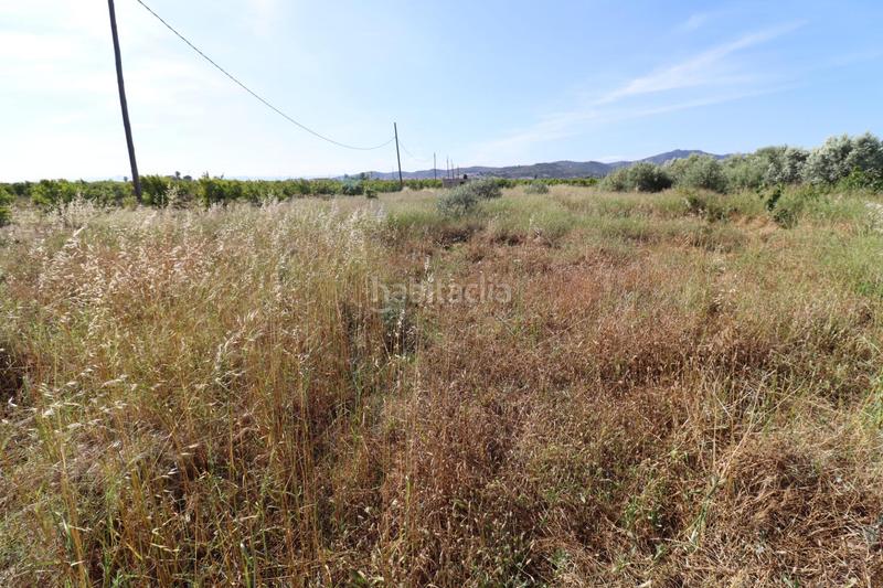 Foto 5fc9333b-db12-41aa-a5ab-1e81ccee6636. Fondo rustico in Alcanar