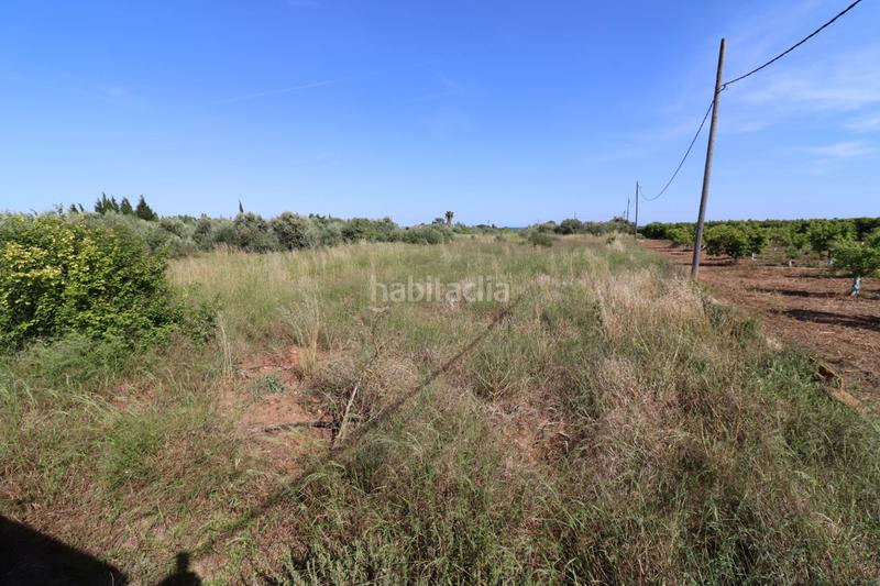 Foto 63246b5f-1bb1-4999-a0d9-f5b5ee69f5bd. Fondo rustico in Alcanar