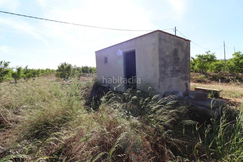 Foto 6f05a3cf-3f87-4da5-a2f4-6ba09de082c3. Fondo rustico in Alcanar