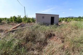 Finca rústica a Alcanar. Finca yerma en la martorella