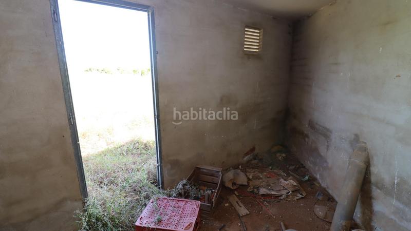 Foto c14a82de-35de-4a56-84ff-6fbcc7dbb587. Fondo rustico in Alcanar