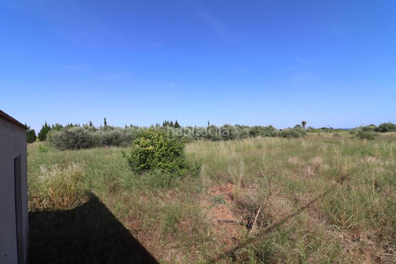 Foto ca44385c-02b8-46f0-952b-d3350bf29e91. Fondo rustico in Alcanar