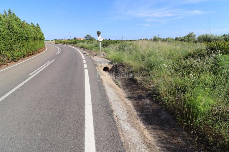 Foto d1139c2b-5a11-49d8-b680-bb2e0bc844b6. Fondo rustico in Alcanar