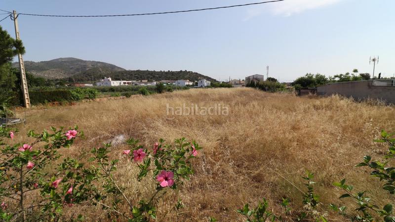 Foto 63adf071-cd56-4f30-ae5d-71cd61ba2e2b. Terreno residenziale in Alcanar