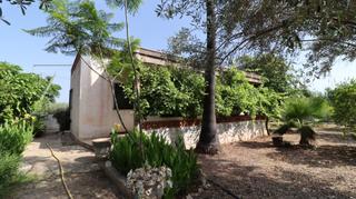 Finca rústica a Alcanar. Prat en las casas de alcanar
