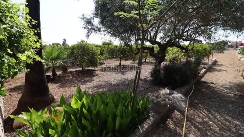 Foto 2961a827-6487-4430-b9f7-fb30f258af6a. Propriété dans Alcanar