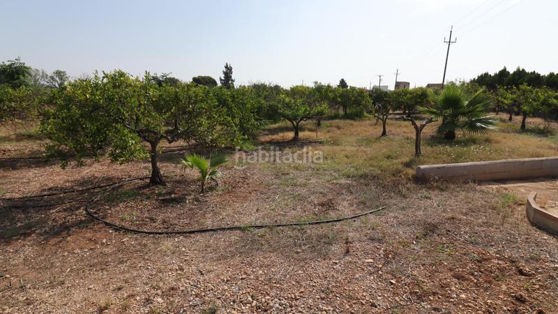 Foto 47ec60c8-79f9-4ee6-bc5f-508d999e6f1d. Propriété dans Alcanar