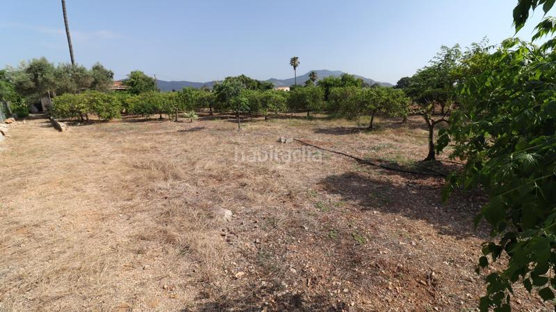 Foto 4cca3eed-568e-49e0-bee0-7209166f5f69. Propriété dans Alcanar