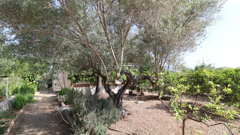 Foto 5ebfe69d-ce48-492c-b878-6ca271912a8f. Propriété dans Alcanar