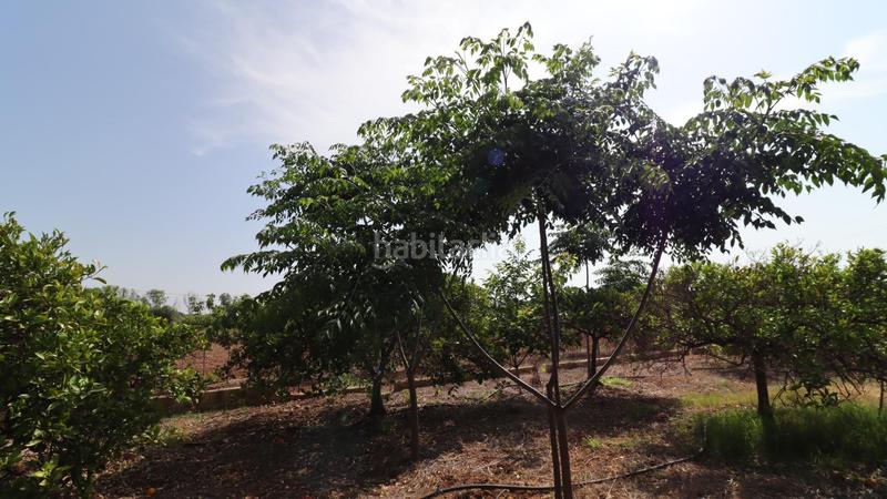 Foto 837a4972-c6dd-4fac-9363-c534a0dd2132. Propriété dans Alcanar