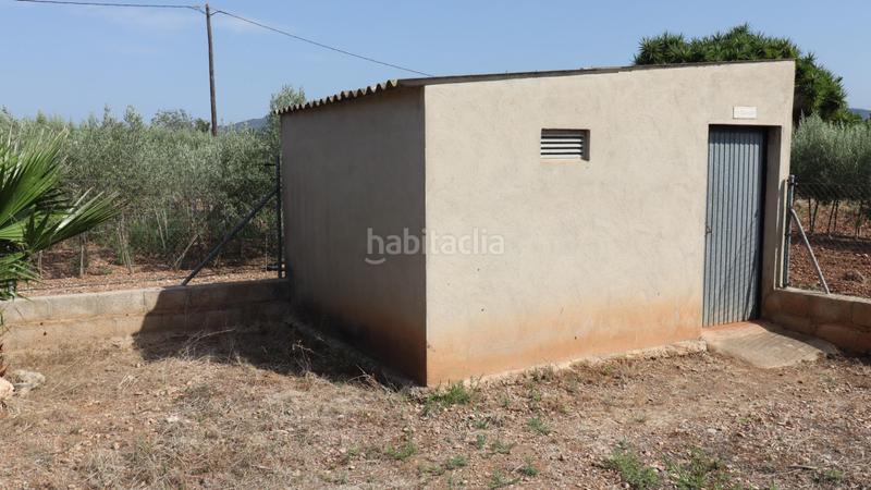 Foto 9c1000bb-b3a2-4e5b-859a-a3f6a57c00f8. Propriété dans Alcanar