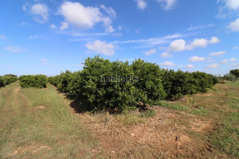 Foto 32523ec9-f187-434b-85e2-80b7c4757524. Finca rústica a Partidas de Interior - Zona Rústica Vinaròs