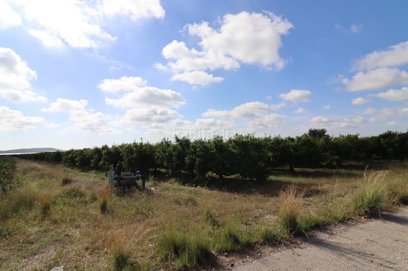 Foto 41bcef49-090d-4b0a-adba-3fa6ca11f1a7. Finca rústica a Partidas de Interior - Zona Rústica Vinaròs
